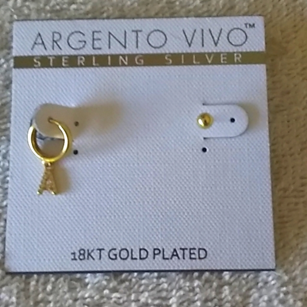 Argento Vivo Earrings